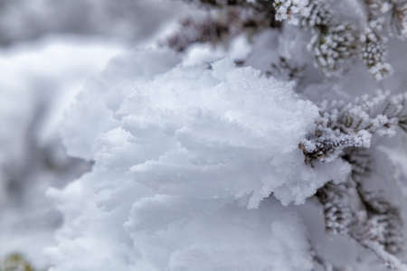 Winter in the White Mountains, New Hampshire