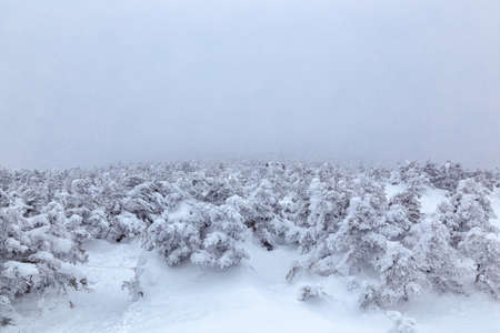 Winter in the White Mountains, New Hampshire