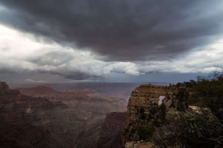 Grand Canyon National Park North Rimの写真素材