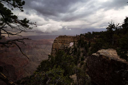 Grand Canyon National Park North Rimの写真素材