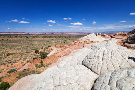 Rock Formation in White Pocket, Utahの写真素材