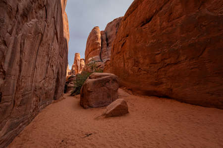 Arches National Park, Moab, Utahの写真素材