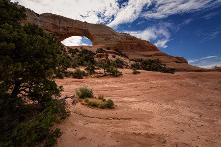 Arches National Park, Moab, Utahの写真素材