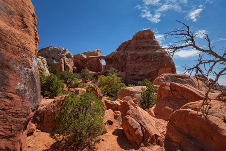 Arches National Park, Moab, Utahの写真素材