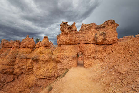 Bryce Canyon National Park, Utahの写真素材