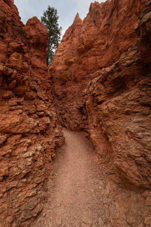 Bryce Canyon National Park, Utahの写真素材