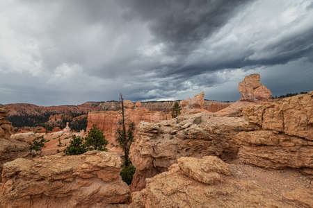 Bryce Canyon National Park, Utahの写真素材