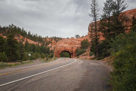 Bryce Canyon National Park, Utahの写真素材
