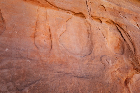 Texture of sandstone rock in Valley of Fire State Park, Nevada