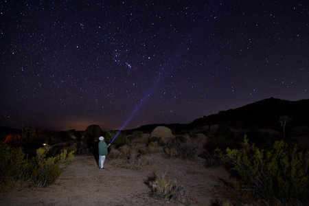 Person watching the stars in a national parkの写真素材