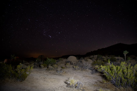 Night in Joshua Tree National Park, California, United States of Americaの写真素材