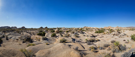 Panoramic view of desert landscape in California, USA
