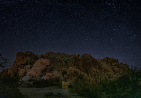Night scene in Joshua Tree National Park, California, United States.の写真素材