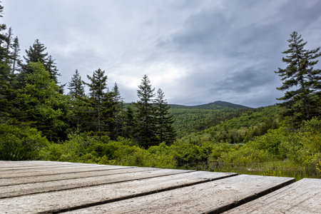 Wooden boardwalk in the forest on the background of the river and mountains