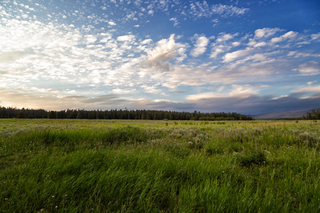 Sunset over a meadow in Yakutia, Russia.の写真素材