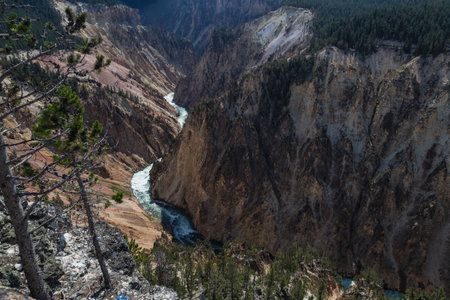 Grand Canyon of the Yellowstone in Yellowstone National Park, Wyoming, USAの写真素材