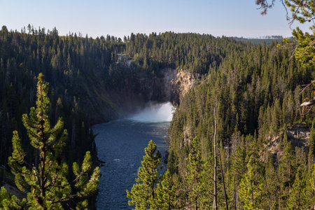 Lower Falls of the Yellowstone River, Yellowstone National Park, Wyoming, USAの写真素材