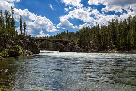 The Athabasca River in Jasper National Park, Alberta, Canadaの写真素材