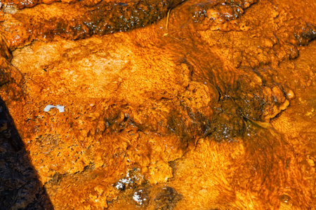 Close-up of the surface of a hot spring in Yellowstone National Park