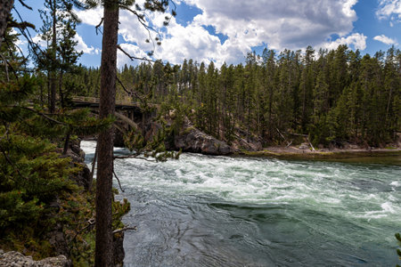 Mountain river in Yellowstone National Park, Wyoming, United States.の写真素材