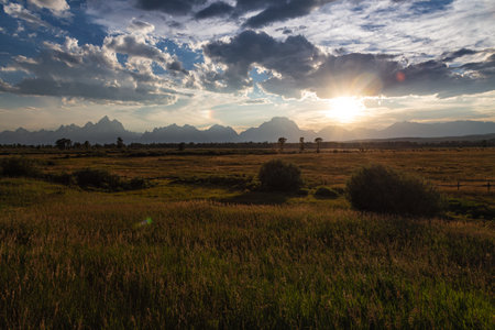 Sunset over the meadow in the Grand Teton National Parkの写真素材