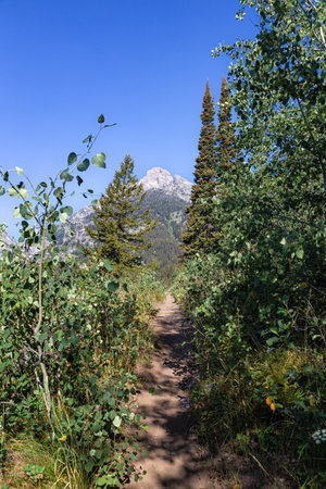 Hiking trail in the mountains, Krasnodar Krai, Russiaの写真素材