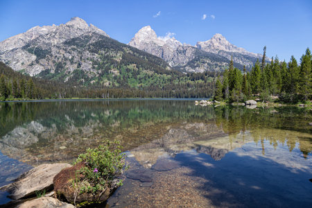 Grand Teton National Park in Wyoming, United States of America.の写真素材
