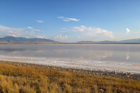 Salt lake in Utahの写真素材
