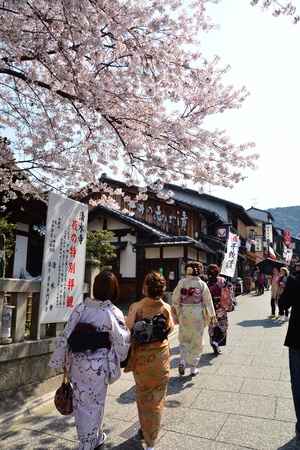 Sakura Kimono Japanの素材
