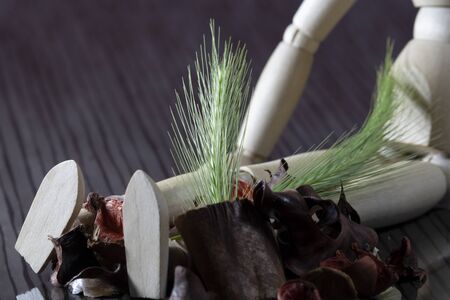 fresh cereal stalk on the legs of a wooden doll, with many dried spring fruitsの写真素材