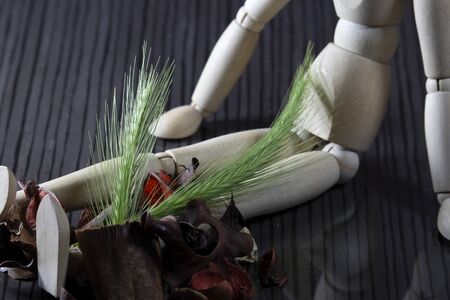 fresh cereal stalk on the legs of a wooden doll, with many dried spring fruitsの写真素材