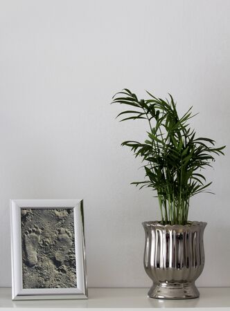 green plant on a shelf, next to it a picture frame with a picture I took on the sandy beach with footprintsの写真素材