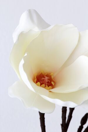 fabric magnolia in a decorative vase against a white backgroundの写真素材