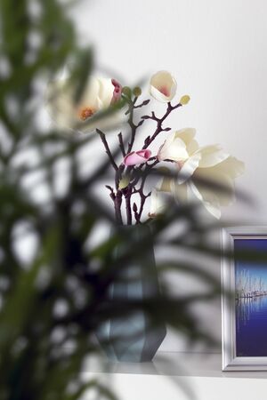 Magnolia in a decorative vase against a white background, in the blurred foreground branches of a shrubの写真素材