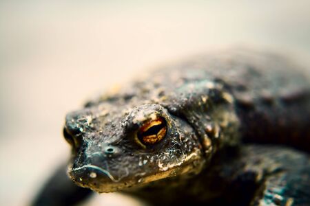 found under a trash can after I pulled it outの写真素材