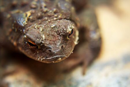 found under a trash can after I pulled it outの写真素材