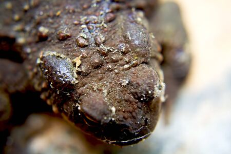 found under a trash can after I pulled it outの写真素材