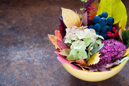 Autumn Bouquet with leaves, flowers and fruits, Colors of Fall, Autumn decorationの写真素材