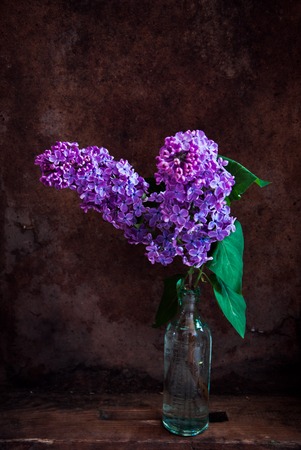 Lilacs in Vase on dark brown background
