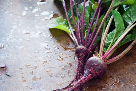 Homegrown root vegetables - Beet on a brown wooden backgroundの写真素材