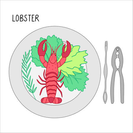 Plate with lobster, basil, salad and lobster crackers next to it. Colorfull doodle vector illustration isolated on a white background. Delicious seafood. Perfect for menu decorationのイラスト素材