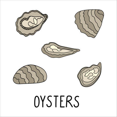 Oysters doodle illustrationのイラスト素材