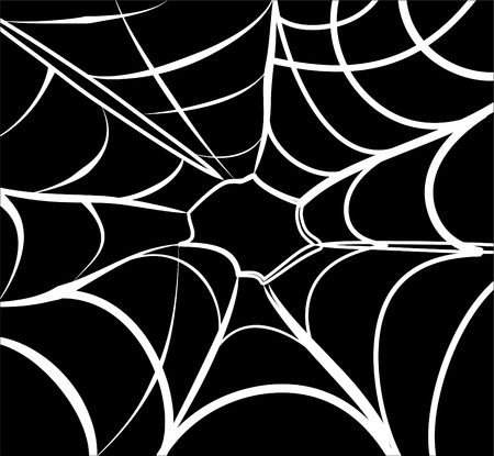 spider web background black and whiteのイラスト素材