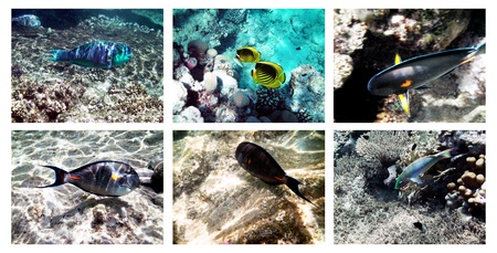 seabedの写真素材