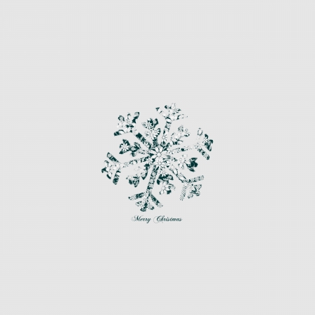 Elegant snowflake floral - vintageの写真素材