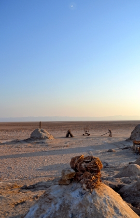 Rose of the Sahara desert - Tunisia, Africaの写真素材
