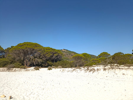 Oasis of Biderosa in the Gulf of Orosei Sardiniaの写真素材