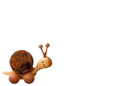 isolated snailの写真素材