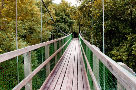 a small bridgeの写真素材