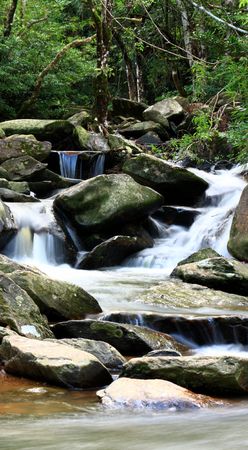 a water spring in forestの写真素材